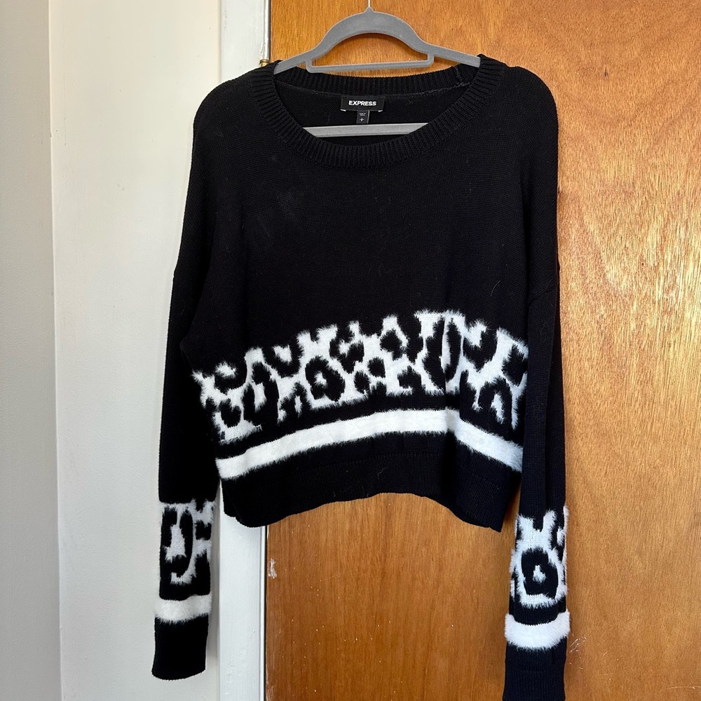 Express cropped sweater